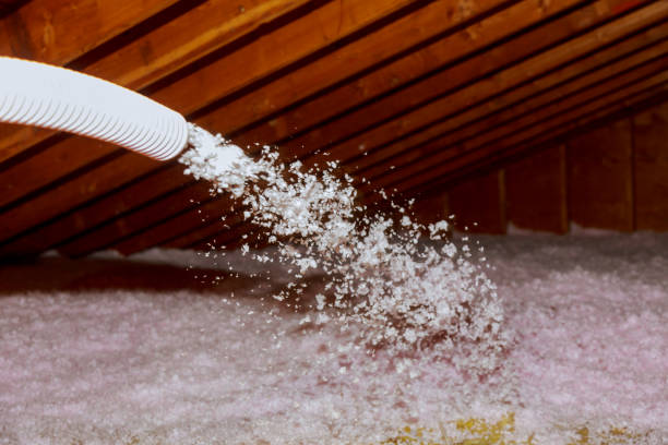 Best Energy-efficient Insulation  in Blue Ridge, TX