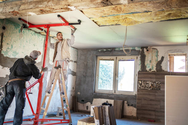 Best Local Insulation Services  in Blue Ridge, TX