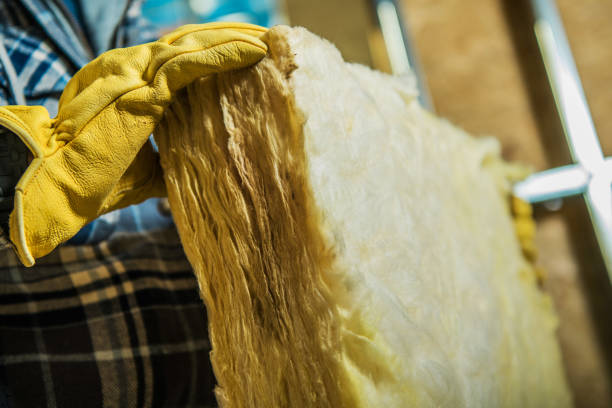 Best Cellulose Insulation  in Blue Ridge, TX
