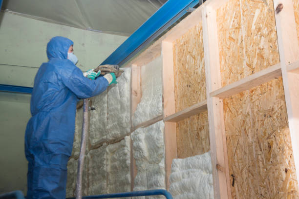 Best Affordable Insulation Services  in Blue Ridge, TX